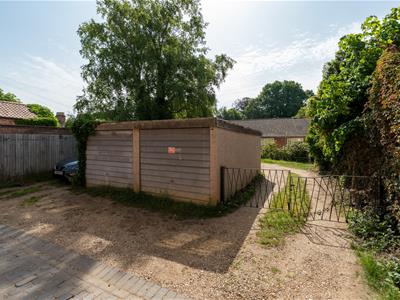 Picture 15